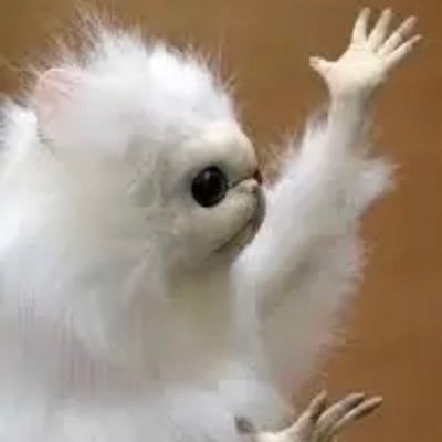 WasabeeBow's profile picture. 