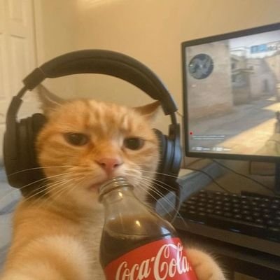 prem_chuniyan's profile picture. Tech nerd and Meme lord🤓