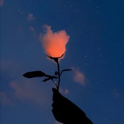 Bibi1666667's profile picture. 