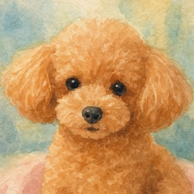mochatan_tan_'s profile picture. トイプードルのモカです。 みかん大好き・爪切り大嫌い。