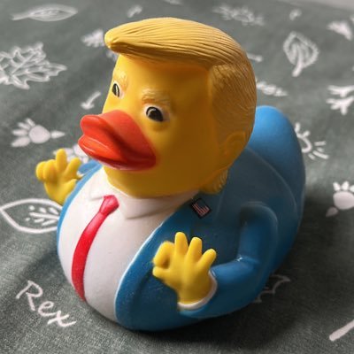 ErezMasterSigma's profile picture. Duck 🦆 | Supreme leader of Erezland | Free Pakistan 🇵🇰 | Roblox master 🗿| Masterdebater😏 | Changing lives.