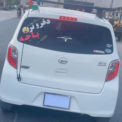 AlftMnswr29925's profile picture. 