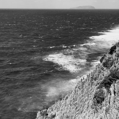 HH2W2vAmzJ50062's profile picture. 20歳無職2年正社員として働いたが全てが嫌になり現在一人暮らし車なし貯金が無くなる前に死に方を探してる