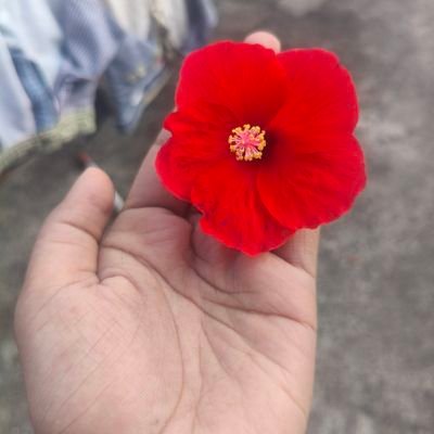MohakKumar23034's profile picture. 