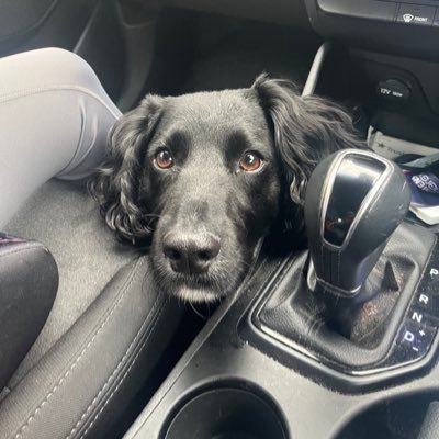 CitizenK's profile picture. 