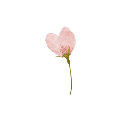 AGrayev35564's profile picture. 