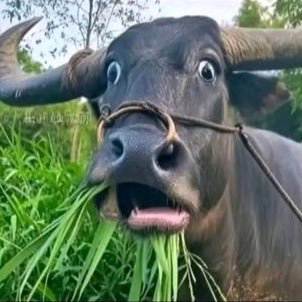 KeoMut16469938's profile picture. 