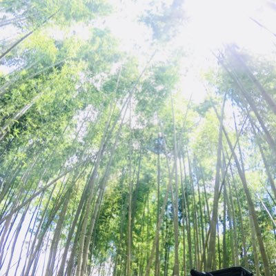 なずさんのプロフィール画像