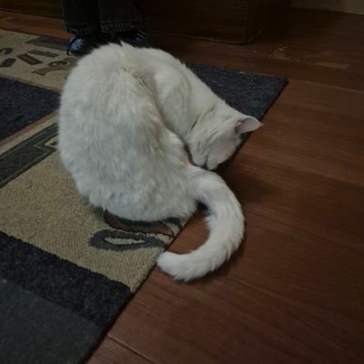 Negnegpsy's profile picture. 