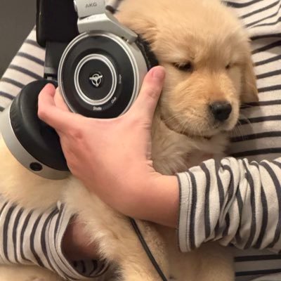 maeziestar's profile picture. raya ⋆ fan page for my dog @raybieroom