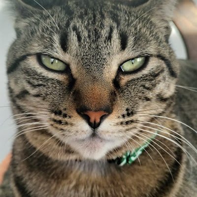 6gFpnDnUld13457's profile picture. 