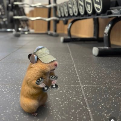 jamesgikun58055's profile picture. 