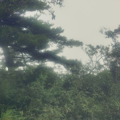 lngtngshi567149's profile picture. 