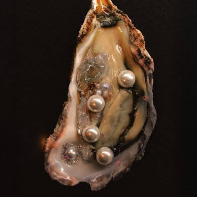 skouitch's profile picture. revolution will not be televised