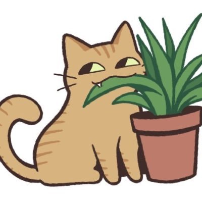 meshaushe's profile picture. 