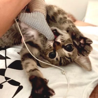 lovemrta's profile picture. escribir me salva la vida