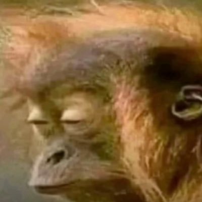 aphelioscumrag's profile picture. 