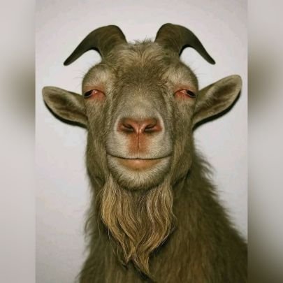 SSA649's profile picture. I am learning every day to allow the space between where I am and where I want to be to inspire me and not terrify me.