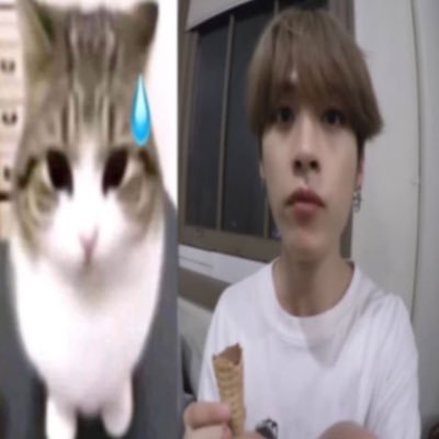 bubuxbbb's profile picture. do you want to be oddinary リノ♡ 𓂃⋆｡ ˚◞♡ ꒰ᐢ. .ᐢ꒱₊˚⊹