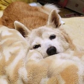 wYOShH0RhQxC9uH's profile picture. 成人済み
さねぎゆ推し
🍃最推し