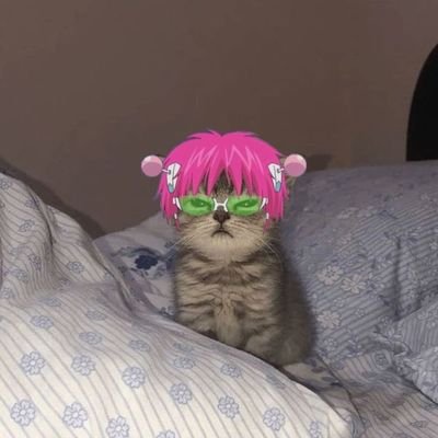 IntoMainas's profile picture. clanker sex theorist