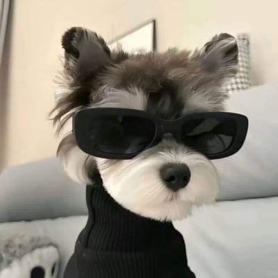 hehe8038's profile picture. 