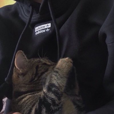 Yoyx97's profile picture. 