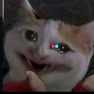rockyyxoxoh's profile picture. 