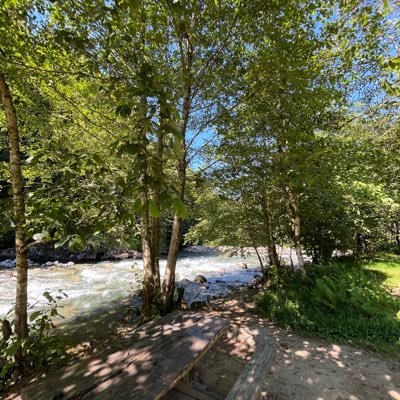 ssrlll's profile picture. 