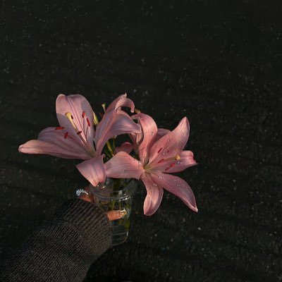 luckygirl6002's profile picture. 