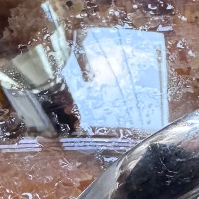 EnemyAmoeba's profile picture. Okay and how were the fries