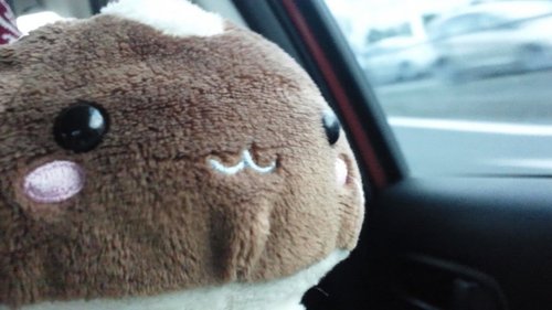 HARUking_FD3S's profile picture. 浅海陽生と書く。シナモロールとTDRでエネルギー補充、宝塚観劇からV系LIVE参戦まで浅く広く手を出したヤツ。コスはしないけど男装します。