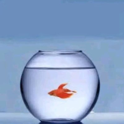 6alata5arayAA's profile picture. ghosting lovebombing mikro aldatma
