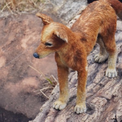 9utXfm's profile picture. いろんなことを知ってるエンジニアになりたい