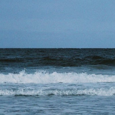 T162112's profile picture. 