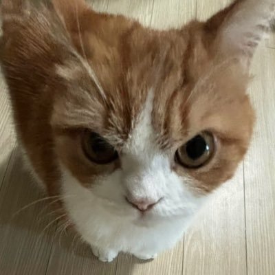 jsbeong's profile picture. 