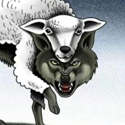 KickassXRP's profile picture. Amazon affiliate 
Crypto crazy 🚀🚀
Crazy about gadgets.
https://t.co/WZCXeUDhfA is awesome
Gratitude!