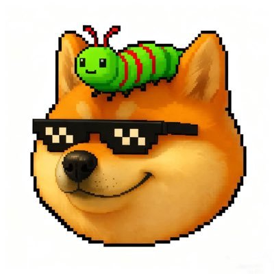 weimo_bikri's profile picture. okx的坚定拥护者，为信念而战，为建设x layer社区被收割式的前行