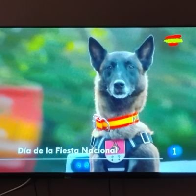 RaquelLR176386's profile picture. Obedece, pelea, triunfa o muere.