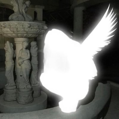 NORTHFAYY's profile picture. #tB magatape out now!