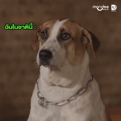 ty916569's profile picture. mommy nong frame {pize}☆