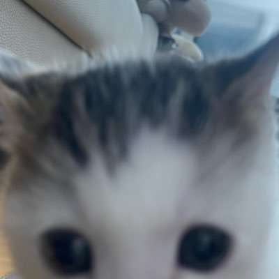 y3makO's profile picture. 계정정지당햇어요오오오오ㅠㅠ