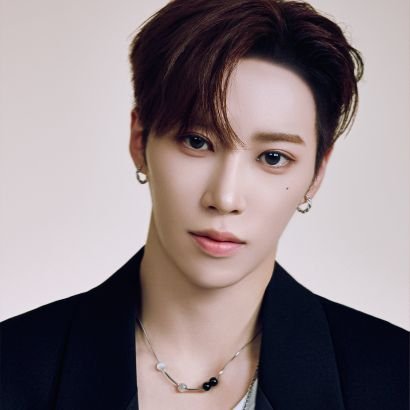 ALD1_ARN0's profile picture. (봇/패러디) This is ALD1's ARNO, update account (@ALD1__official)