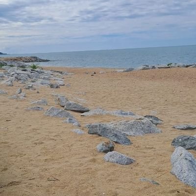 dyn1713's profile picture. heart glowing for what I love 🤍