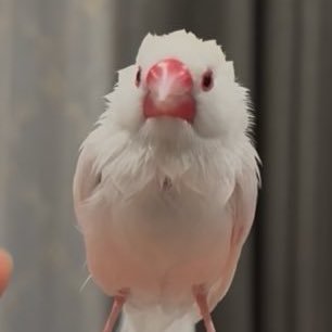 テンちゃんさんのプロフィール画像