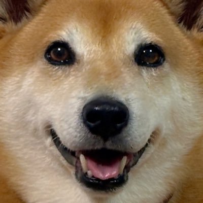 こぽりさんのプロフィール画像