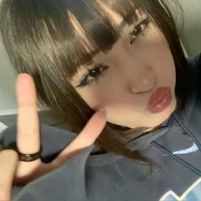 skylarchannnnn's profile picture. 18 ᡣ𐭩 i’m a val nerd n stuff, i like plushies too btw 🧸