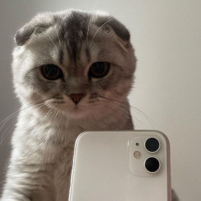 munhenskiy's profile picture. Golang & Python Web3 Software develop
