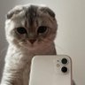 munhenskiy's profile picture. Golang & Python Web3 Software develop