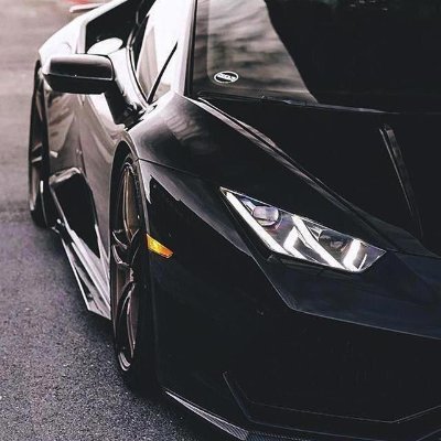 BDP931's profile picture. the revolution🚀